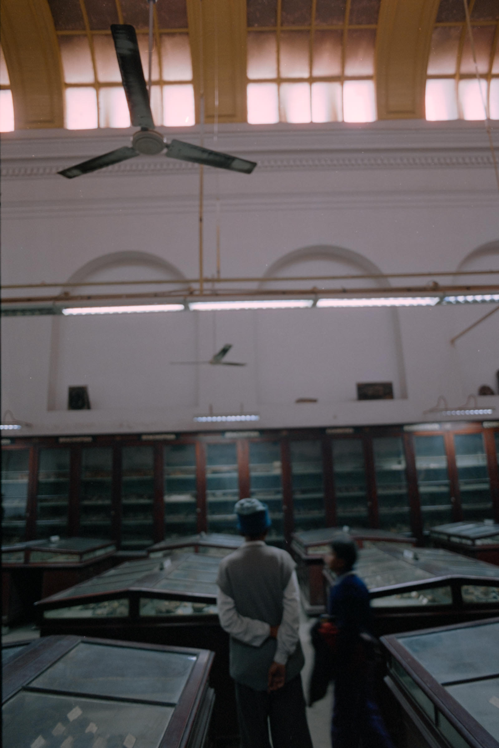 AHP film 2005 01 001 sc240825 img37 NLP